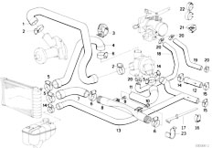 E30 320i M20 Cabrio / Engine/  Cooling System Water Hoses-2
