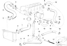 E36 318i M43 Cabrio / Engine Cooling System Water Hoses