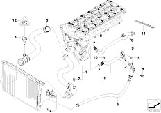 E46 330xi M54 Touring / Engine/  Cooling System Water Hoses