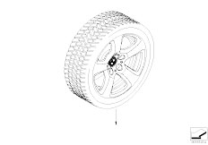 E60 540i N62N Sedan / Wheels/  Winter Wheel And Tyre Star Spoke 243