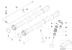 E46 316Ci N45 Coupe / Engine/  Valve Timing Gear Camshaft Valves